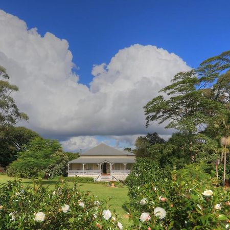 Mitta Glen Guesthouse Flaxton Kültér fotó